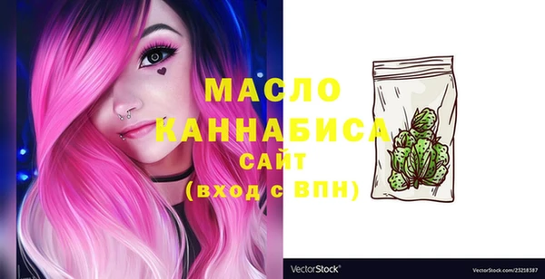 молекула духа Арсеньев