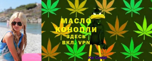 молекула духа Арсеньев
