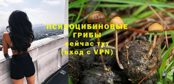 молекула духа Арсеньев