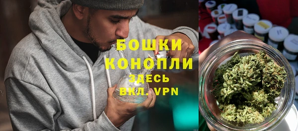 молекула духа Арсеньев