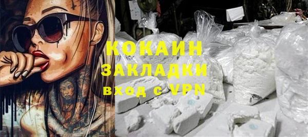 молекула духа Арсеньев