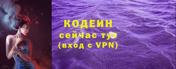молекула духа Арсеньев