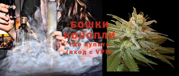 PSILOCYBIN Балахна
