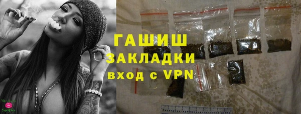 молекула духа Арсеньев
